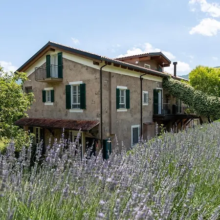 Il Giardino Del Sole Apartment